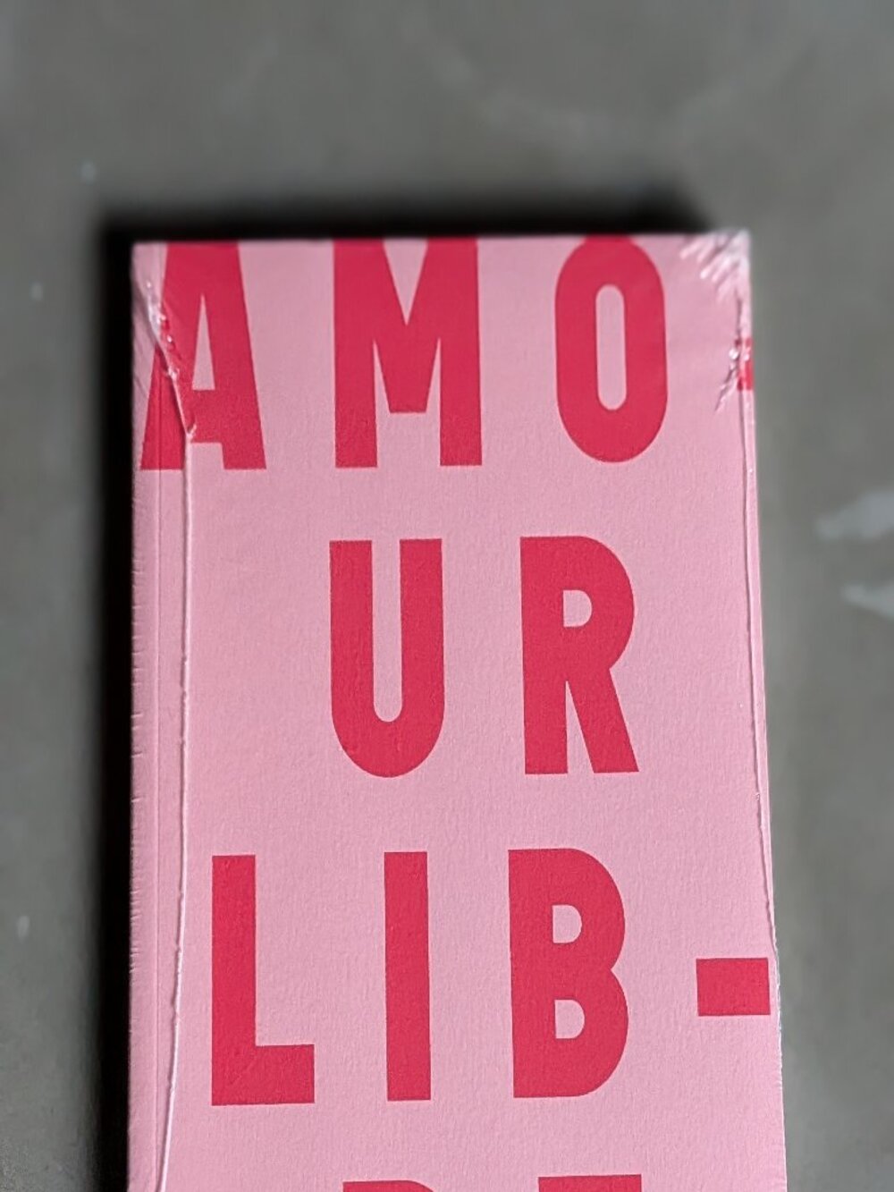 Sézane Amour Libre Notebook